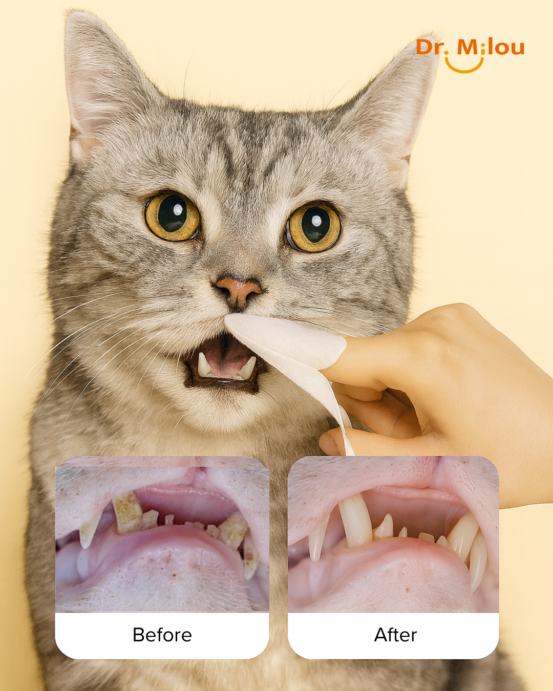 Royal Smile Dental Finger Wipes | Daily Oral Care for Senior Dogs & Cats