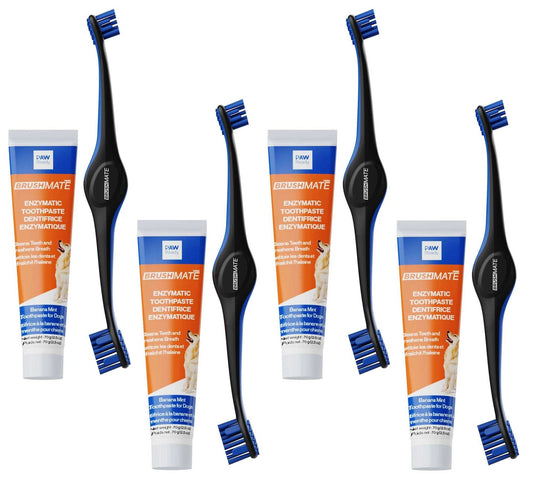 4 Tooth Brushing Kits - Osher Pets