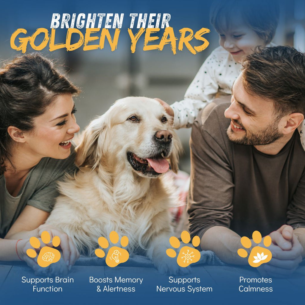 Royal Mind CogniCaps | Canine Cognitive Function Supplement for Senior Dogs