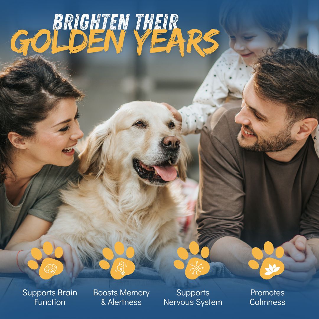 Royal Mind CogniCaps | Canine Cognitive Function Supplement for Senior Dogs