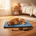 dog lying on a blue heating pad with a power cord on a white background
