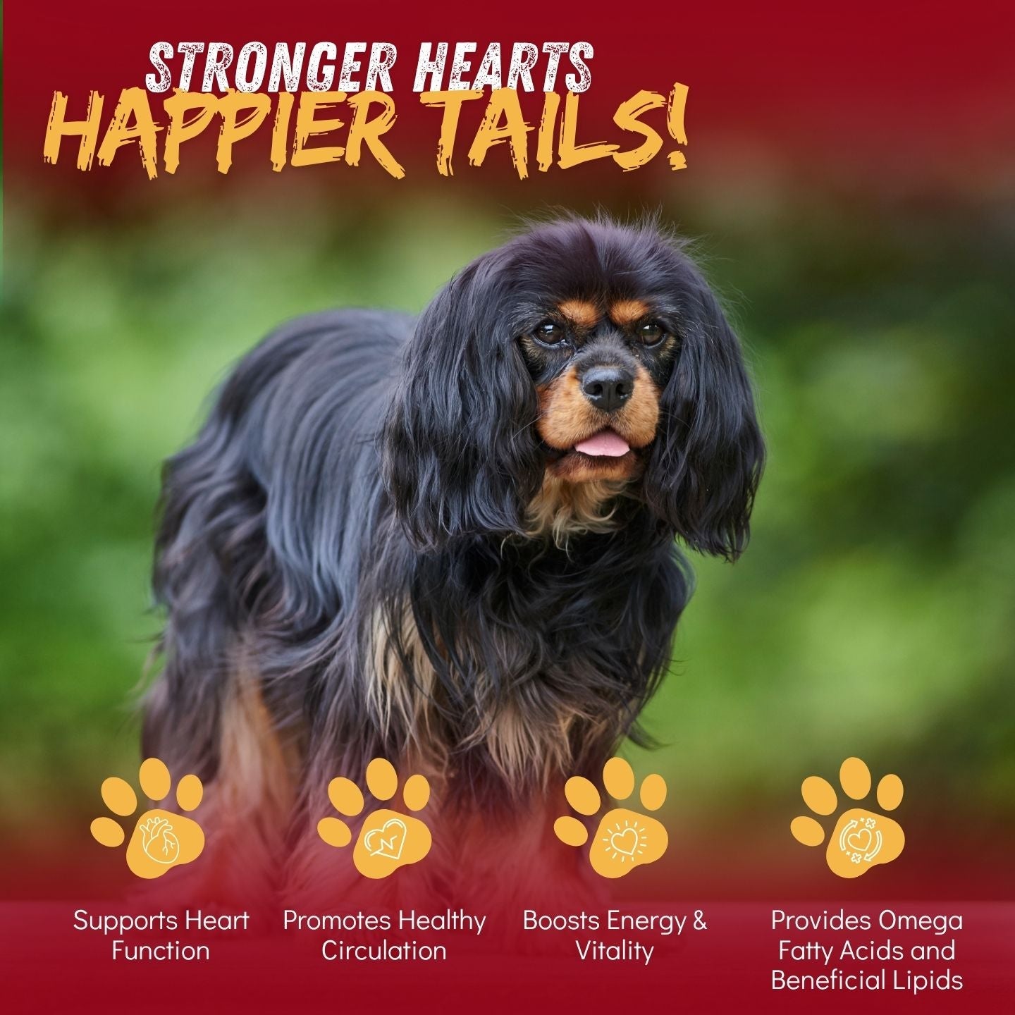Royal Heart CardioChew | Advanced Heart Support Supplement for Senior Dogs