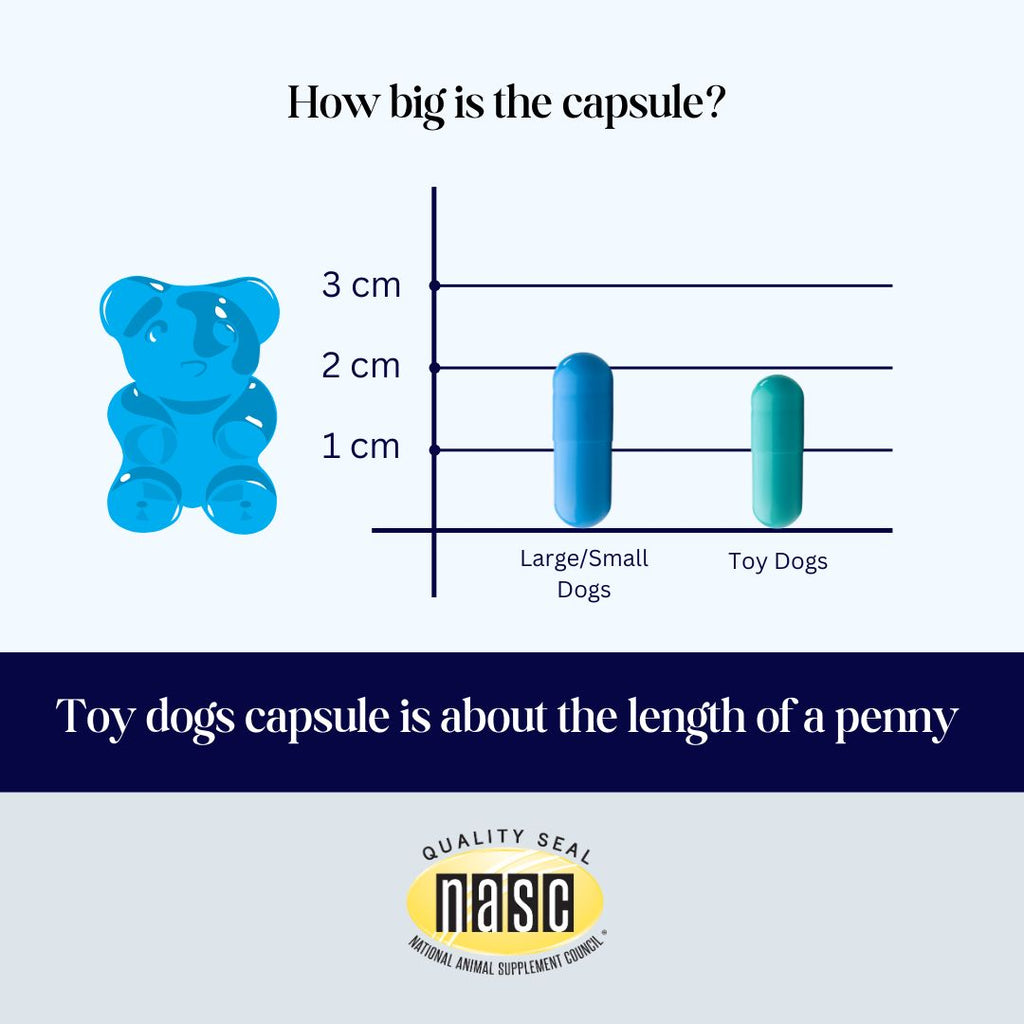 Royal Mind CogniCaps | Canine Cognitive Function Supplement for Senior Dogs