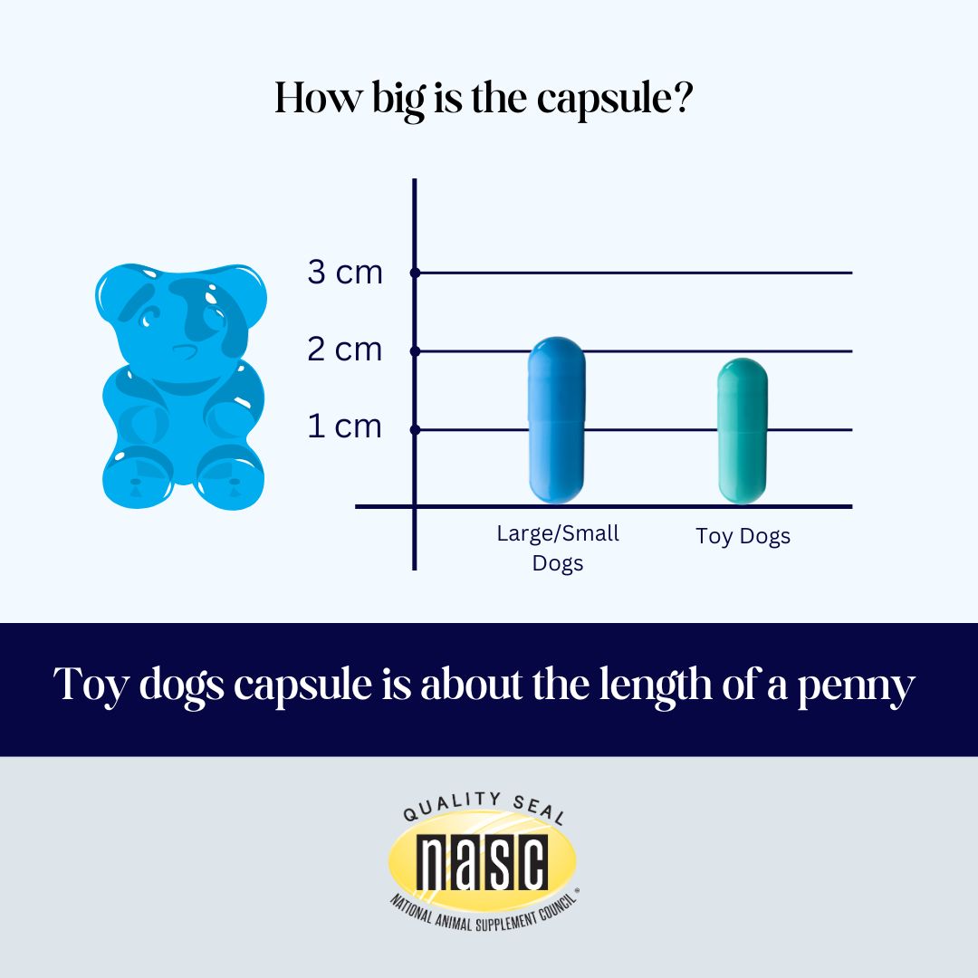Royal Mind CogniCaps | Canine Cognitive Function Supplement for Senior Dogs