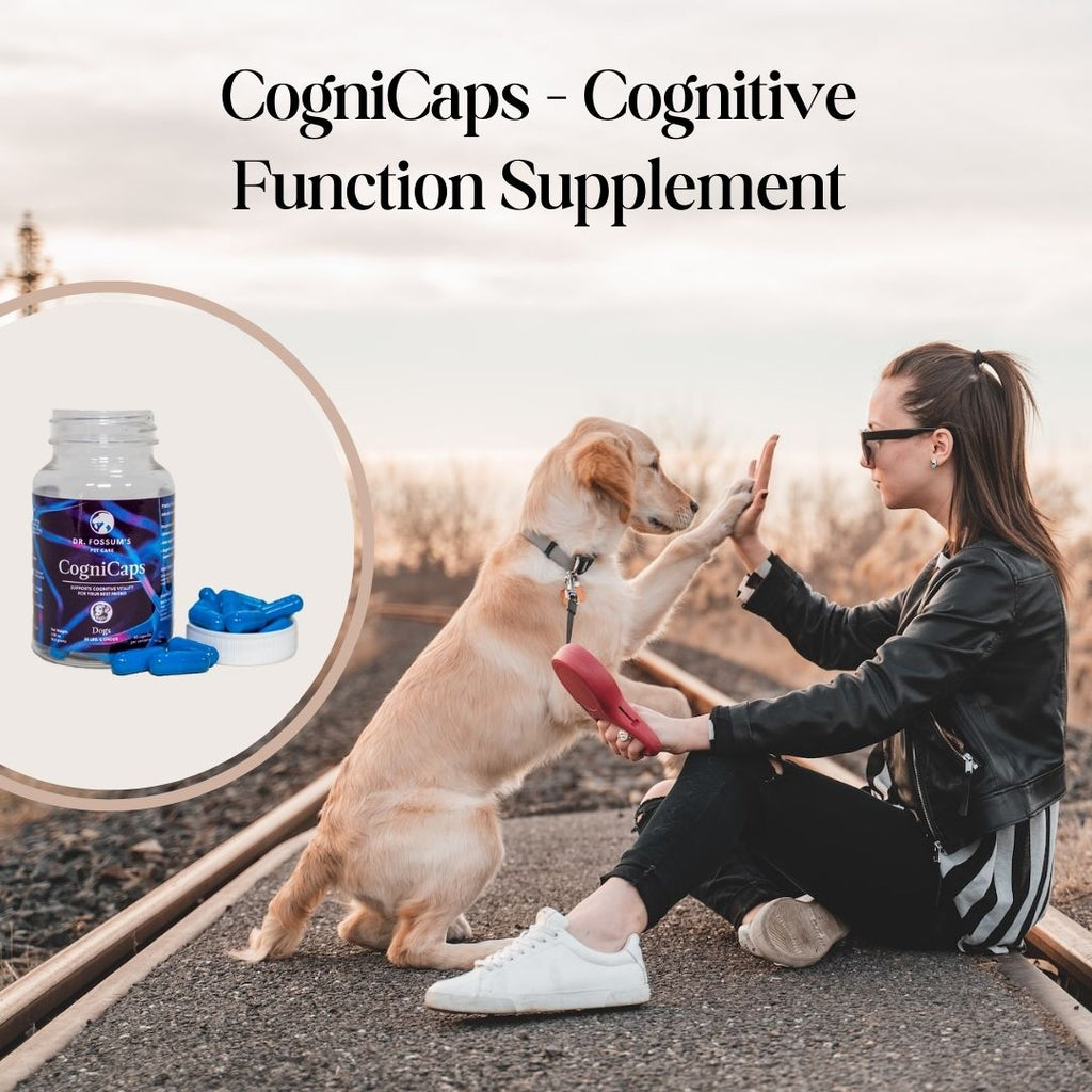Royal Mind CogniCaps | Canine Cognitive Function Supplement for Senior Dogs