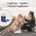 Royal Mind CogniCaps | Canine Cognitive Function Supplement for Senior Dogs