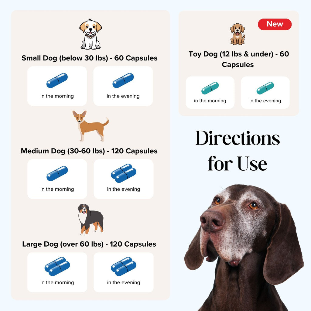 Royal Mind CogniCaps | Canine Cognitive Function Supplement for Senior Dogs