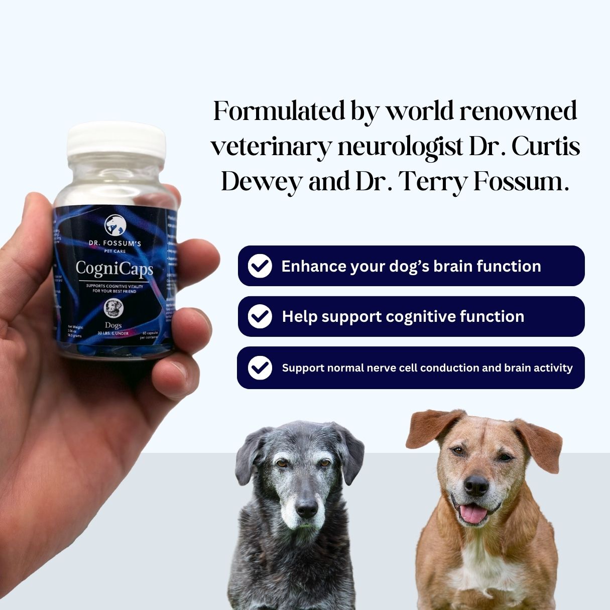 Royal Mind CogniCaps | Canine Cognitive Function Supplement for Senior Dogs