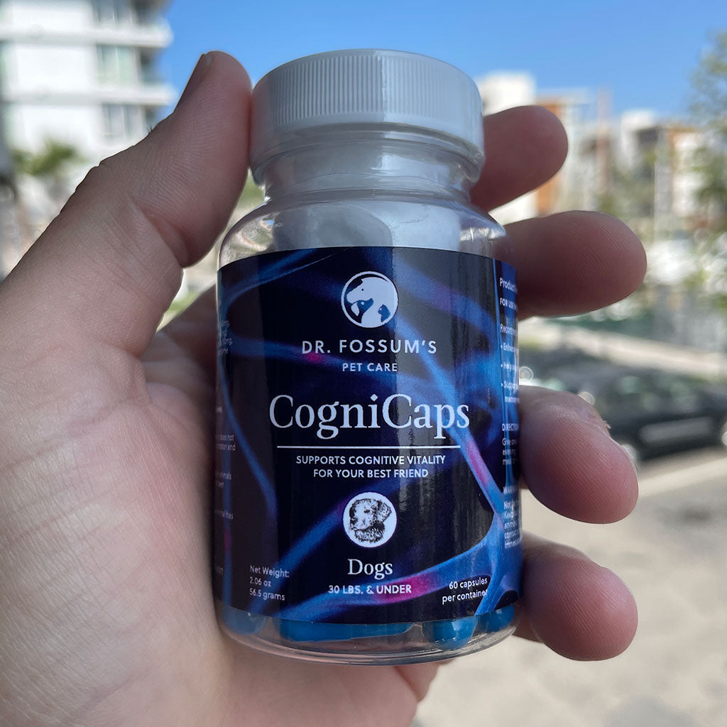 Royal Mind CogniCaps | Canine Cognitive Function Supplement for Senior Dogs