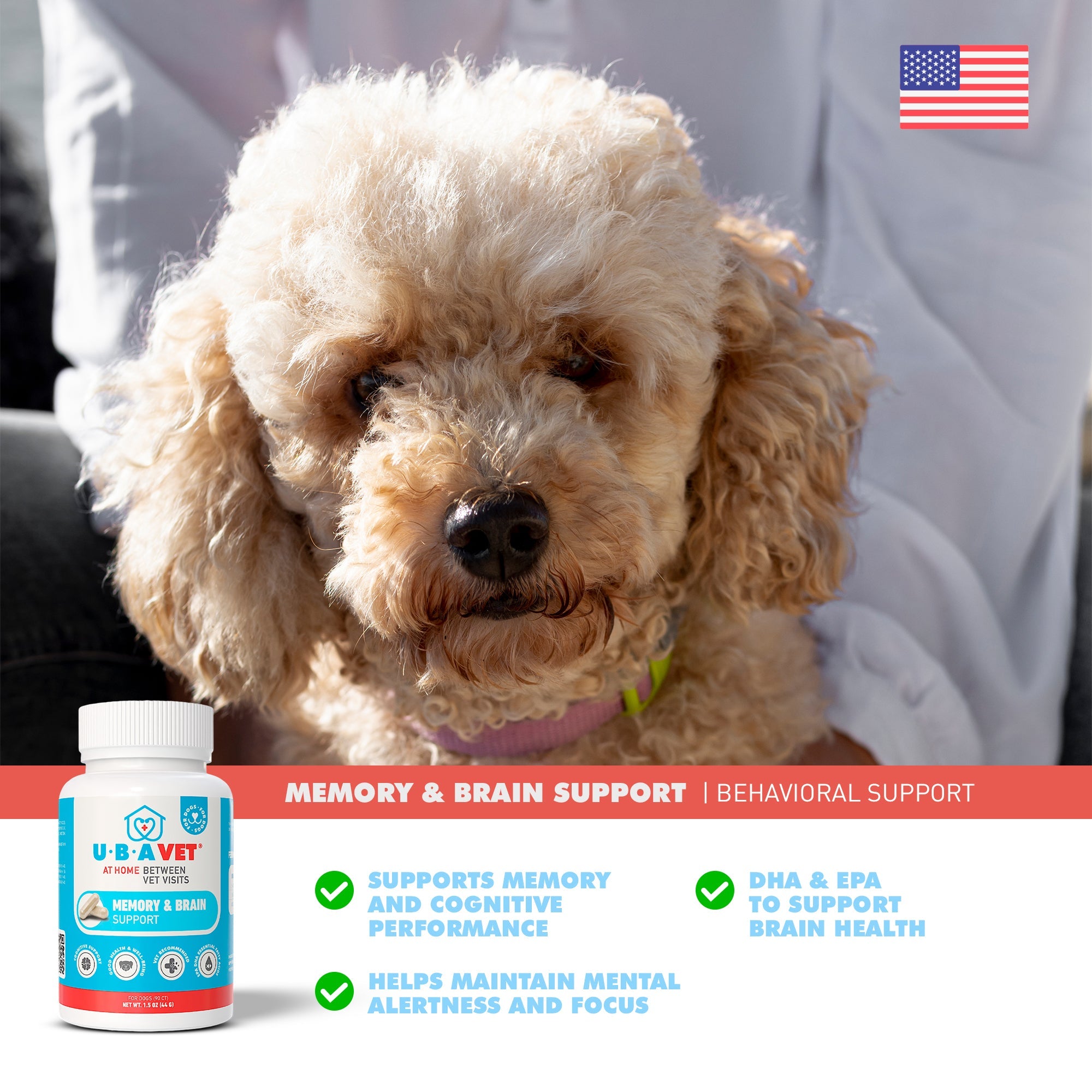 Royal Mind Senior Brain Support | Memory & Cognitive Health Supplement for Senior Dogs